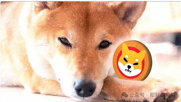 RSS3投资机会：当Coinbase和DWF都看好的Web3协议
